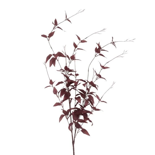 Ornamental Clematis Leaf Burgundy 115cm - CLE002 BB2