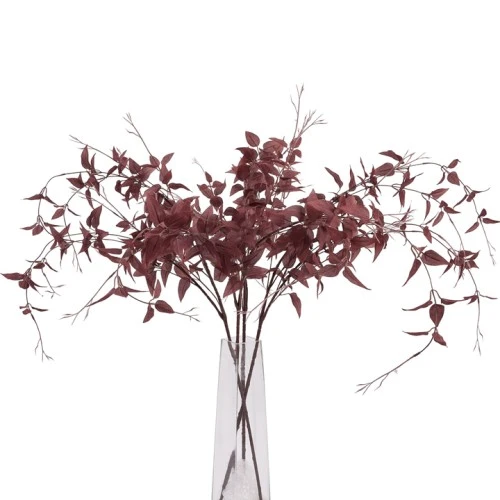 Ornamental Clematis Leaf Burgundy 115cm - CLE002 BB2