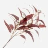 Artificial  Eucalyptus Nicoli Burgundy - EUC027 E4