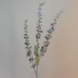 Dusted Eucalyptus Stem Grey Green 78cm - EUC017 F1