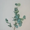 Artificial Eucalyptus Silver Dollar 92cm - EUC019 E4