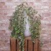 Artificial Eucalyptus Plants Trailing 92cm - EUC010 GG3