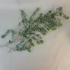 Artificial Eucalyptus Plants Trailing 92cm - EUC010 GG3