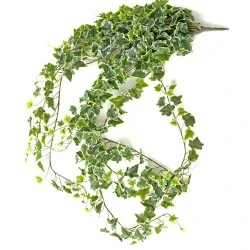 Extra Long Artificial Trailing Variegated Ivy Plant 182cm - IVY006 E4