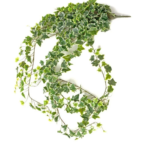 Extra Long Artificial Trailing Variegated Ivy Plant 182cm - IVY006 E4