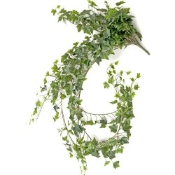 Extra Long Artificial Trailing Ivy Plant English Green 182cm - IVY025 E4