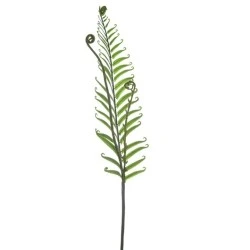 Artificial Fiddle Head Fern Leaves - FER011 BX11