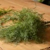 Artificial Asparagus Fern Bunch 53cm  - ASP005 FF4