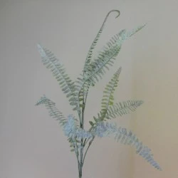 Dusted Forest Fern Stems Grey Green - FER020 DD1