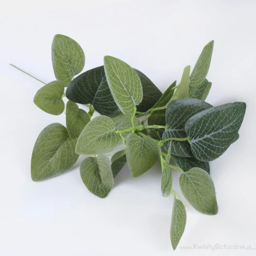 Artificial Fittonia Stem 33cm - FIT001 P3