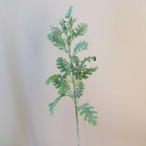 Fleur Artificial Cineraria Stem | Dusty Miller - CIN005 D3