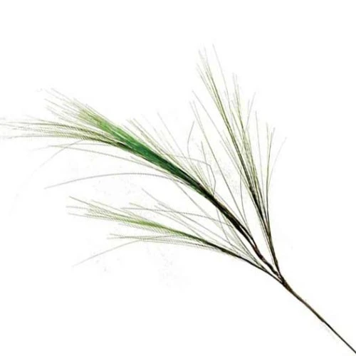 Artificial Needle Grass Green 94cm - GRA015 AA3