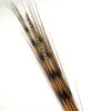 Zebra Grass and Pheasant Feathers 120cm - ZEB001 F1