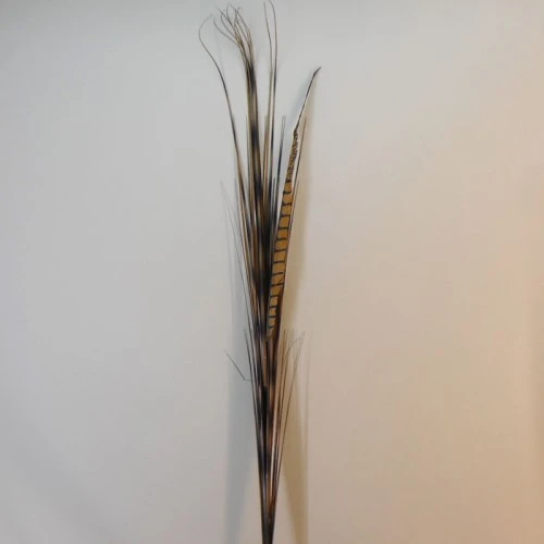 Zebra Grass and Pheasant Feathers 120cm - ZEB001 F1