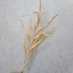 Faux Dried Artificial Reeds Spray Cream 104cm - GRA016 KK4