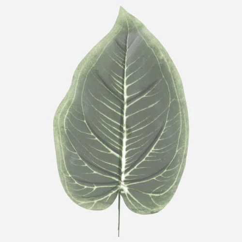 Fleur Artificial Hosta Leaf 40cm - HOS003 II2