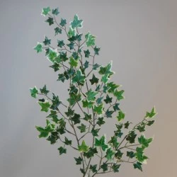 Artificial Variegated Holland Ivy Stem 109 Leaves - IVY049 G4