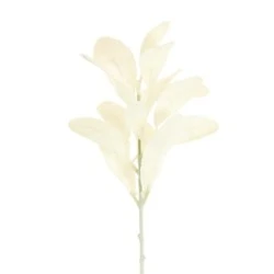 Artificial Lambs Ears Cream Short Stem 35cm - LAM007 I3