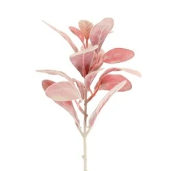 Artificial Lambs Ears Red Short Stem 35cm - LAM010 I4