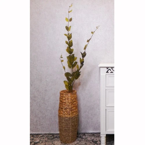 Lonicera Leaves Green | Honeysuckle - LON012 K1