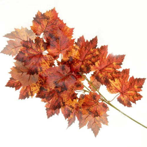 Artificial Maple Leaves Orange 60cm - MAP021 AA2