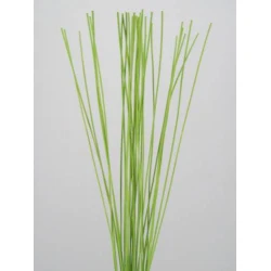 Midelino Sticks Lime Green - MS005