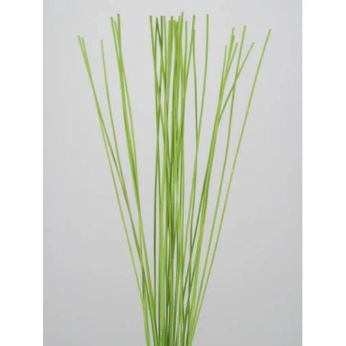 Midelino Sticks Lime Green - MS005