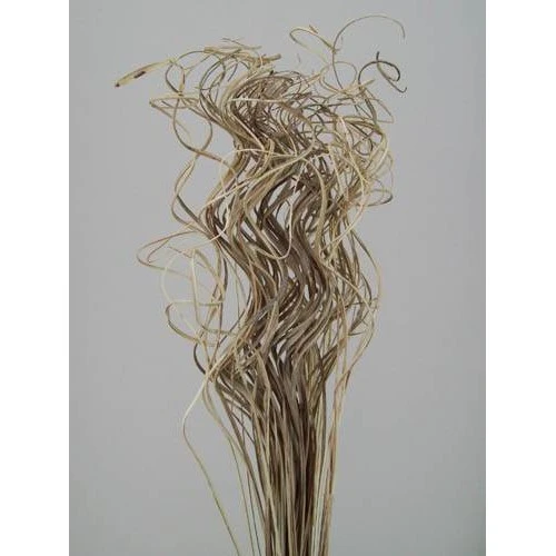 Ting Ting Natural - TT001 T1