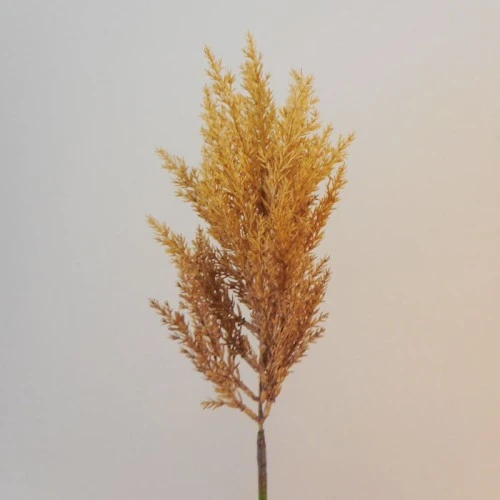 65cm Artificial Pampas Grass Caramel - PAM025 L3