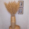 90cm Artificial Pampas Grass Natural - PAM006 I1