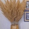 90cm Artificial Pampas Grass Natural - PAM006 I1