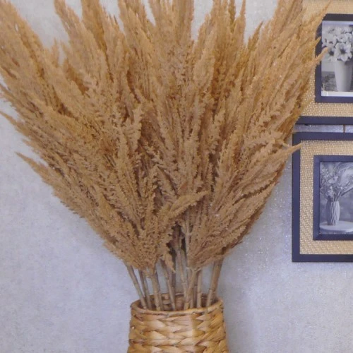 90cm Artificial Pampas Grass Natural - PAM006 I1
