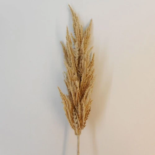 90cm Artificial Pampas Grass Natural - PAM006 I1