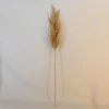 90cm Artificial Pampas Grass Natural - PAM006 I1