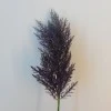 70cm Artificial Pampas Grass Aubergine Purple - PAM010 Q3