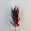 65cm Artificial Pampas Grass Burgundy Red - PAM008 L3