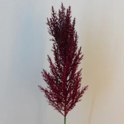 70cm Artificial Pampas Grass Burgundy Red - PAM011 II1