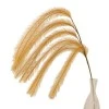 128cm Trailing Artificial Pampas Grass Caramel - PAM017 CC1