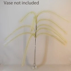 128cm Trailing Artificial Pampas Grass Cream - PAM019 CC1
