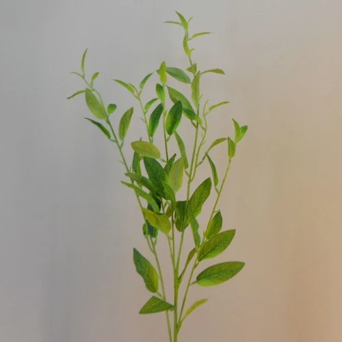 Artificial Privet Branch - PRI002 G4