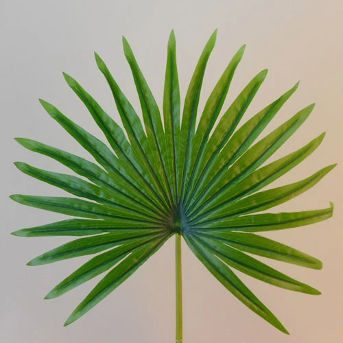 Large Real Touch Artificial Fan Palm Leaf - PM012 K4