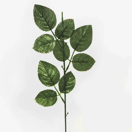 Rose Leaf Stem 56cm  - ROS100 BAY1D