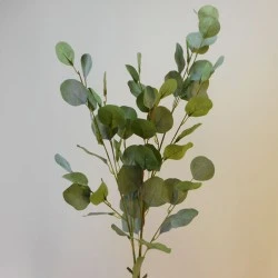 Silk Populus Eucalyptus Stem Green - EUC002 F1