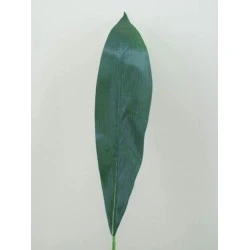 Silk Aspidistra Leaf Large - ASP010 A2
