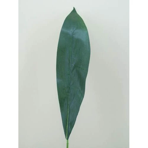 Silk Aspidistra Leaf Large - ASP010 A2