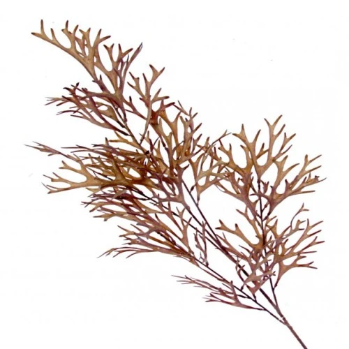 Artificial Stag Horn Stem Brown 105cm - STA006 L2