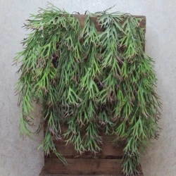 Artificial Stag Horn Trailing Plant 82cm - STA005 T1