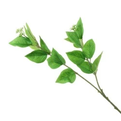 Artificial Viburnum Leaf Stem 60cm - VIB001 CC1