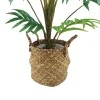 Artificial Areca Palm Fern Plant in Basket 70cm  - PAL004 OFF
