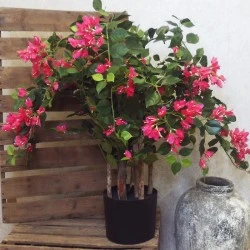 Artificial Bougainvillea Tree Pink 90cm - B023